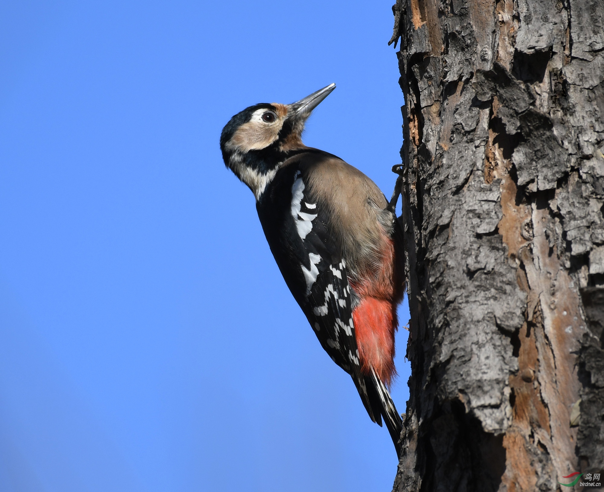 ������Ӱ 686����.jpg