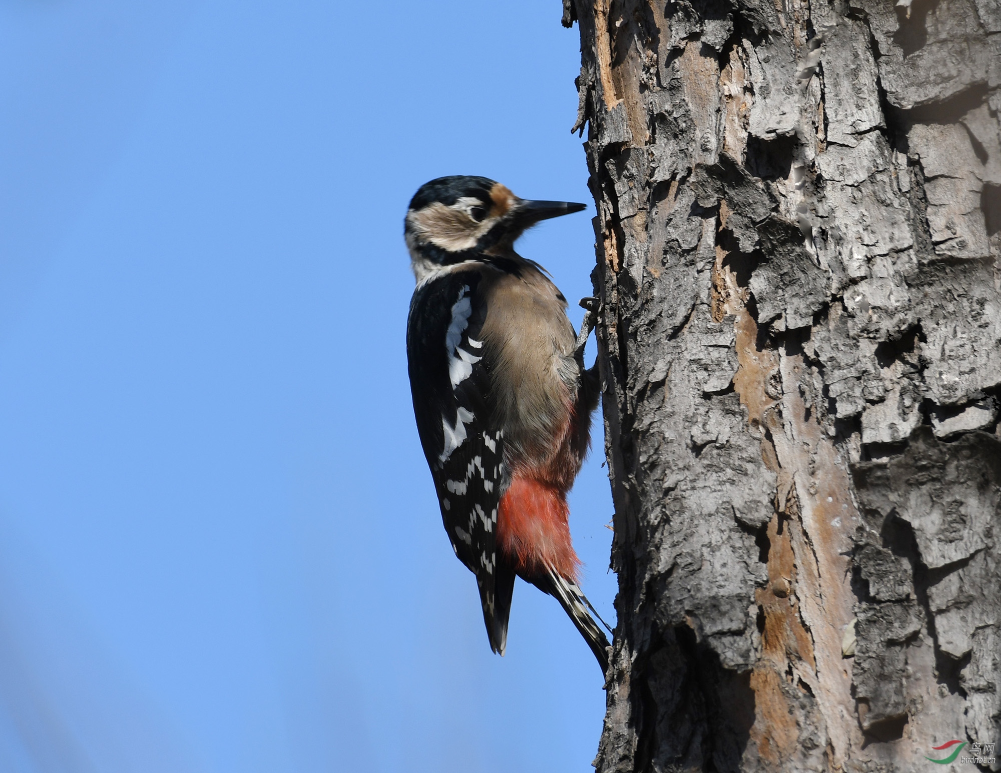 ������Ӱ 765����.jpg