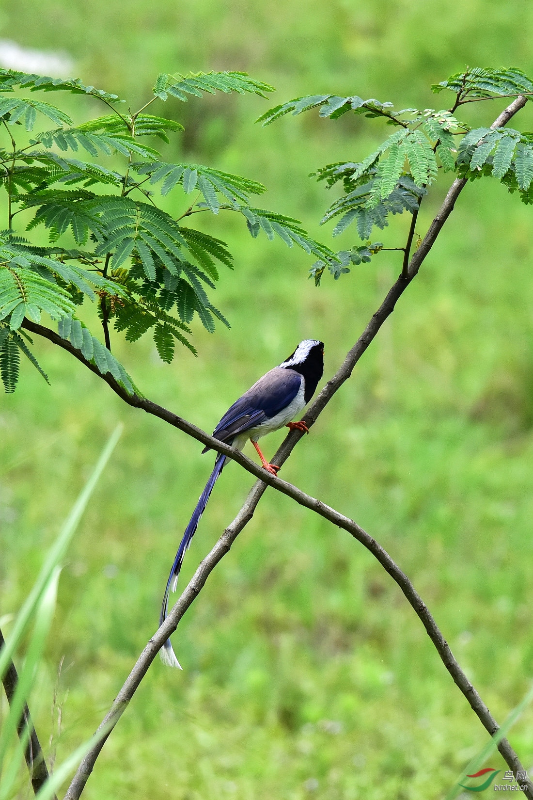 DSC_1177.JPG
