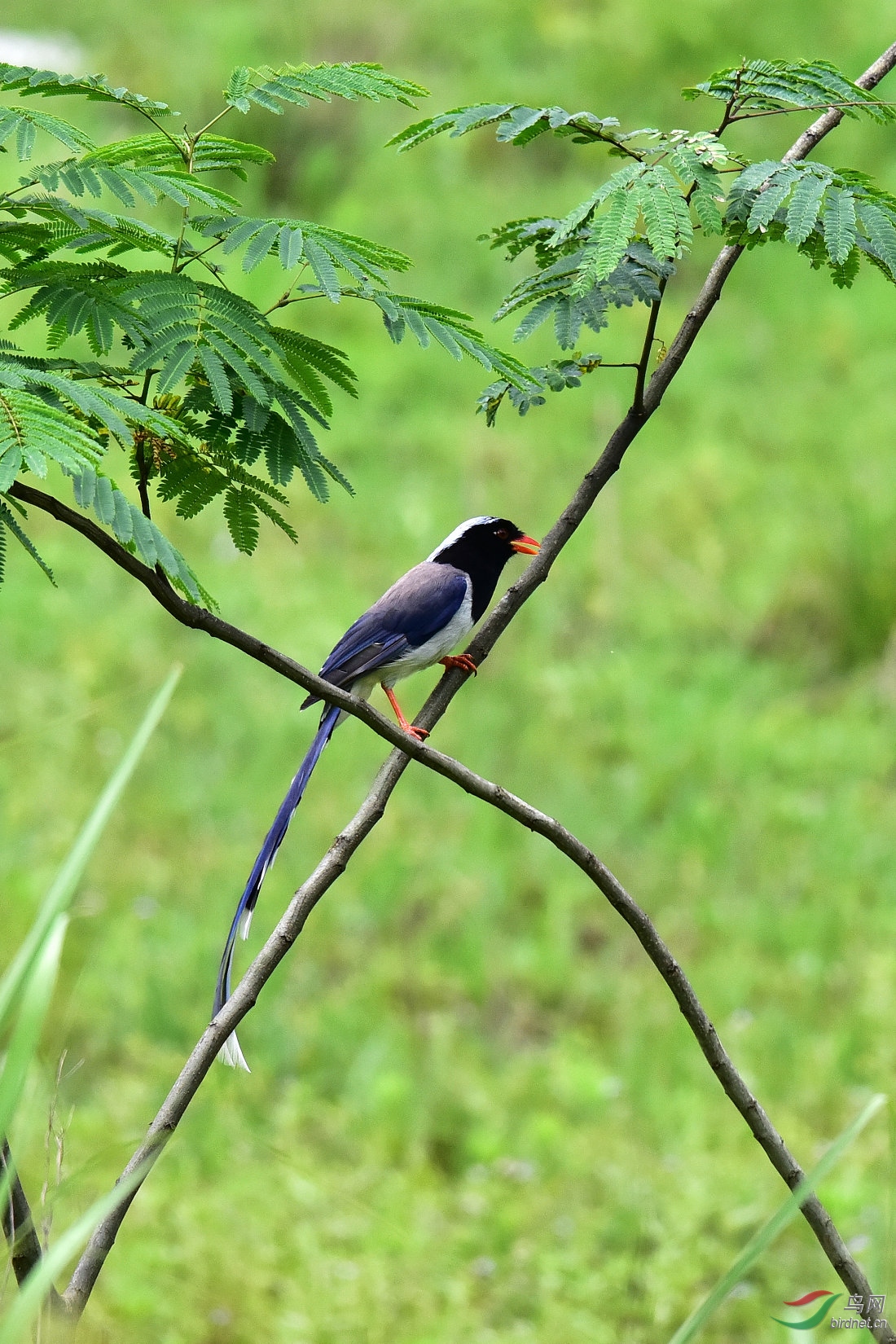 DSC_1178.JPG