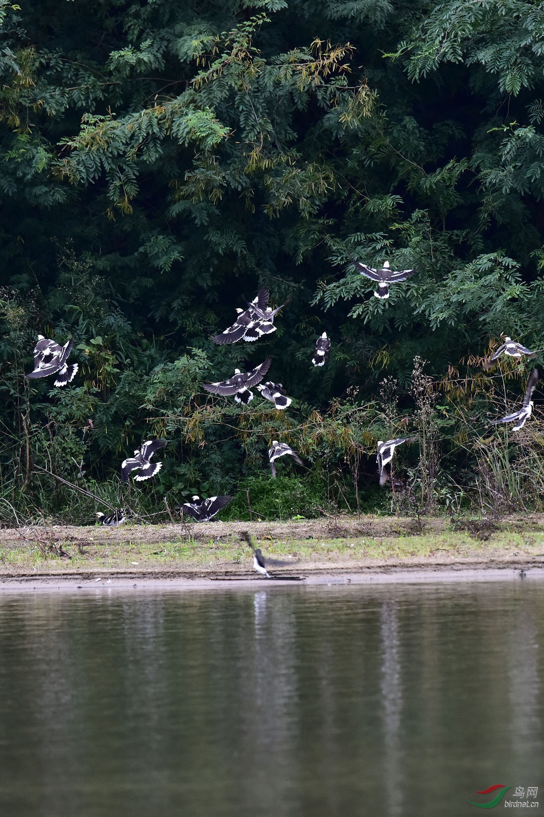DSC_0748.JPG