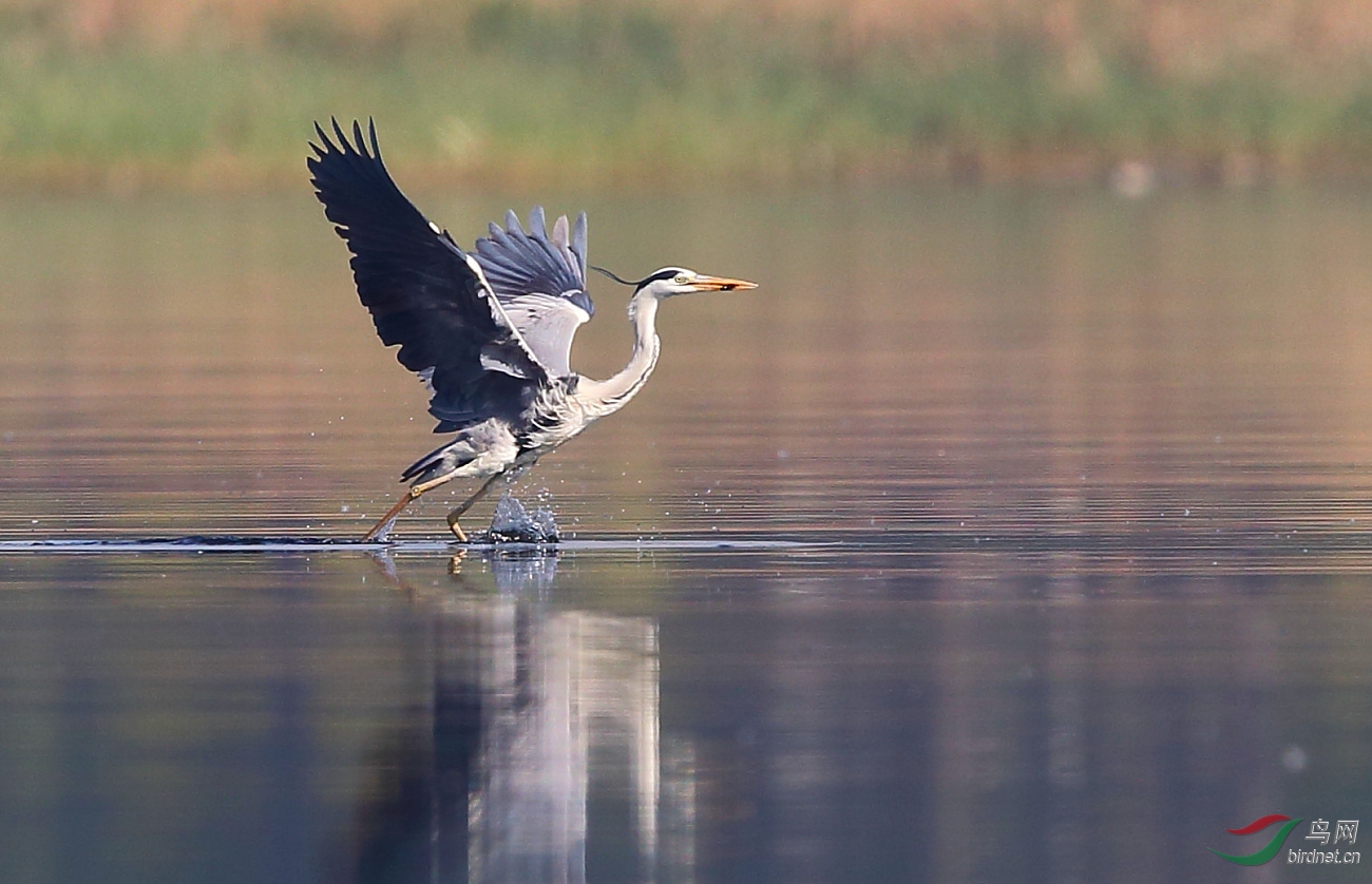 _J4W7202������ɣ�.JPG