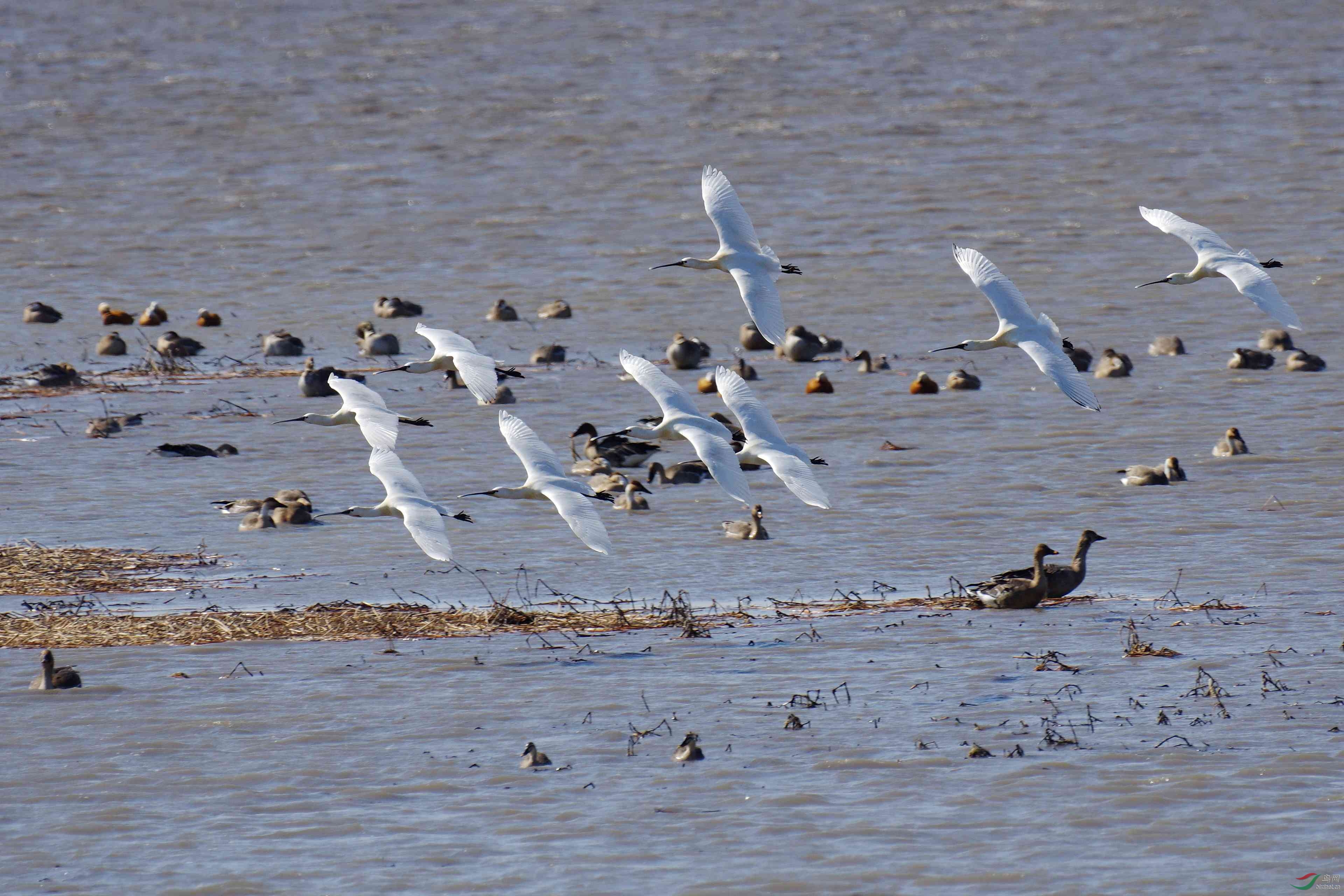 沈阳市法库县獾子洞水库湿地