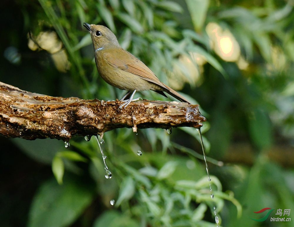DSC_3814.JPG