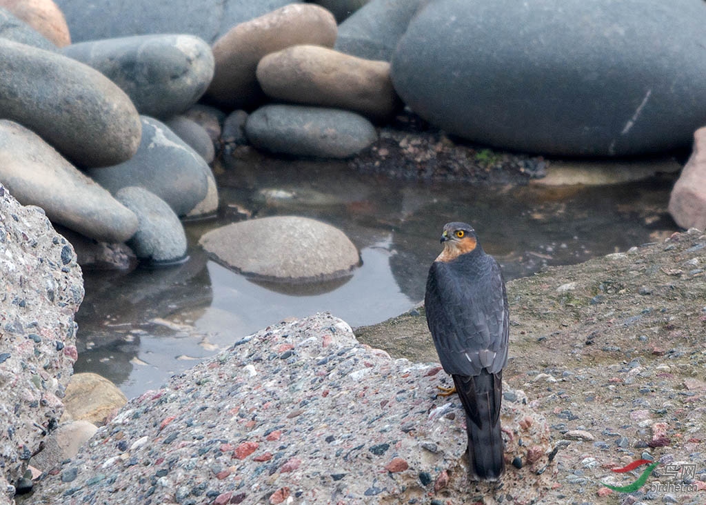 DSC_3940.jpg