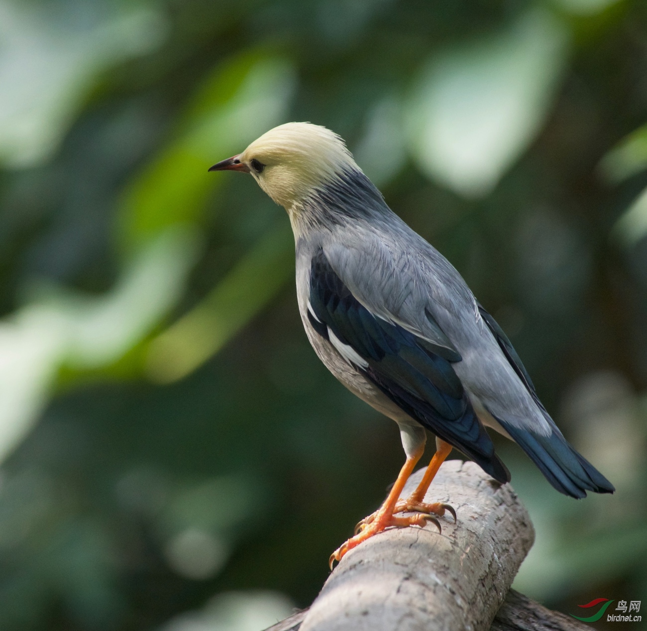 2019-12-31 223114_Fotor.jpg