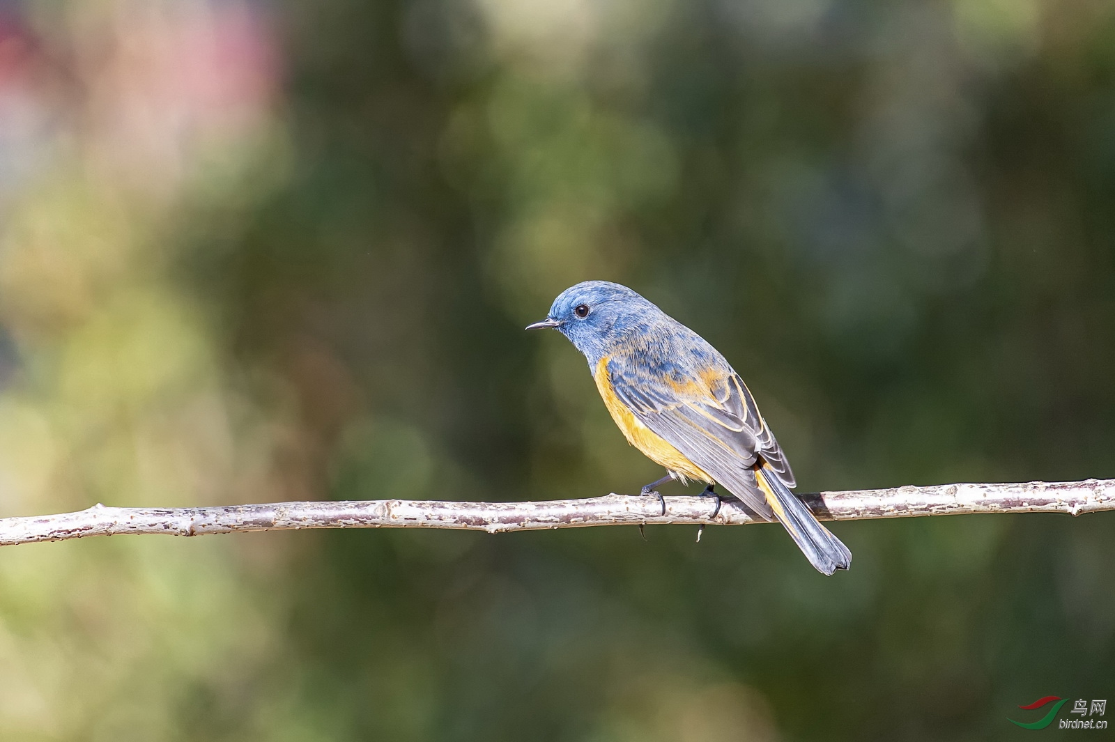 DSC_8380.jpg