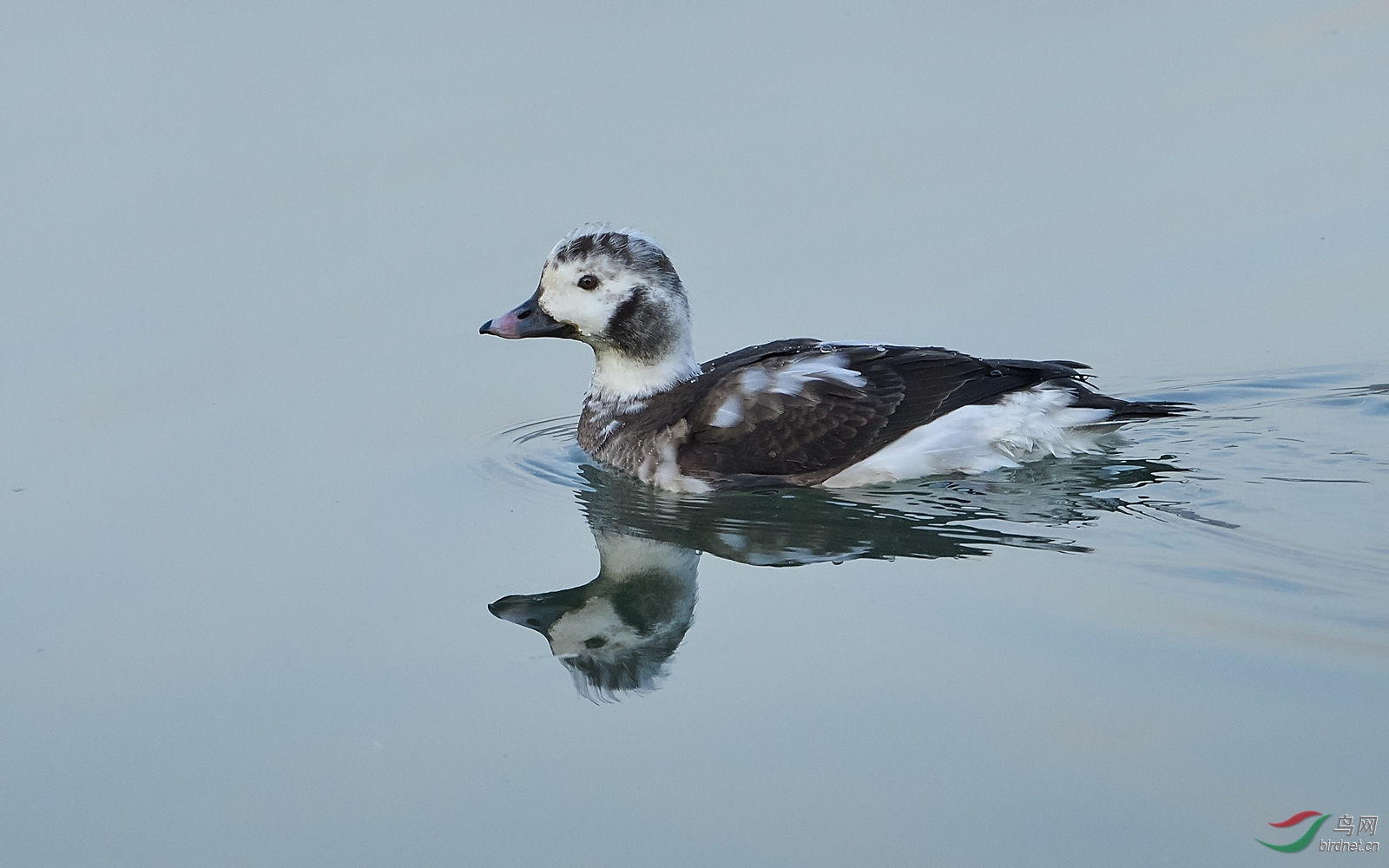 DSC_7910.jpg