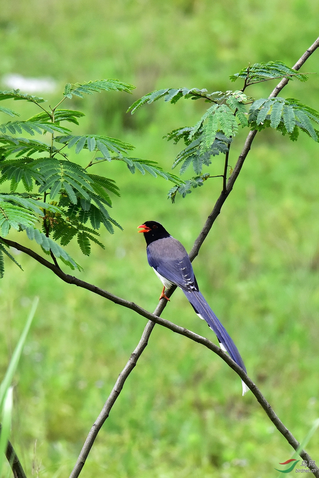 DSC_1182.JPG