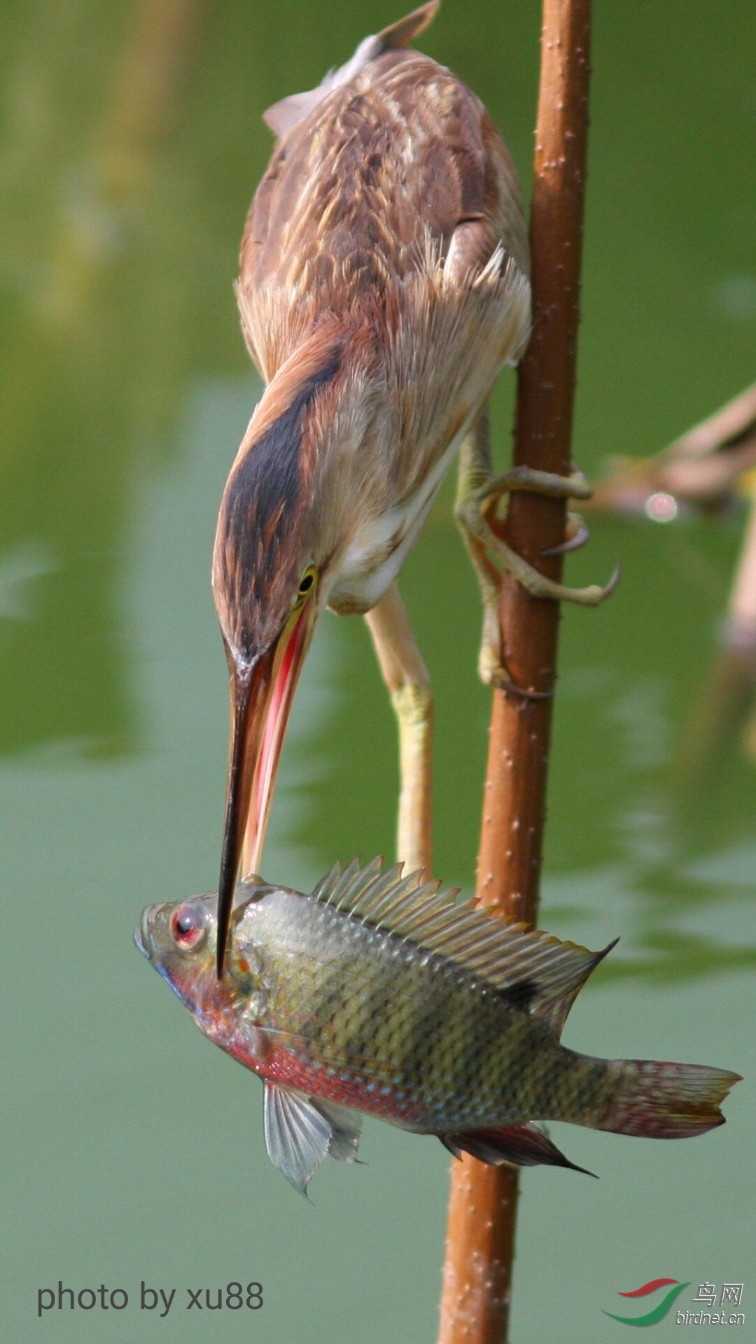 ����Լ10�ף�40D+300F4