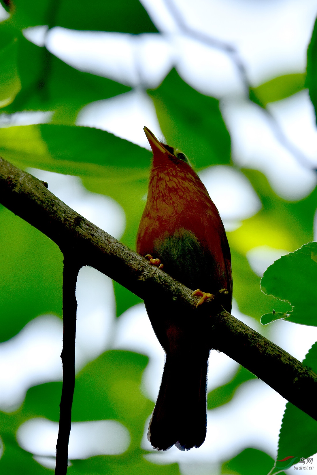 DSC_0754.JPG