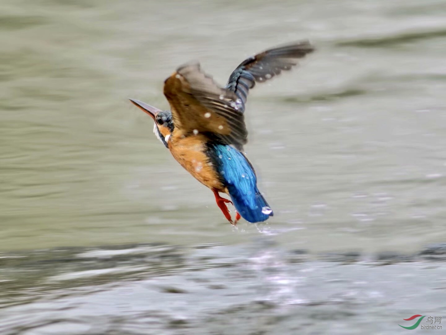 B25FE953-11CF-4F2D-9109-994E5F41099F.jpeg