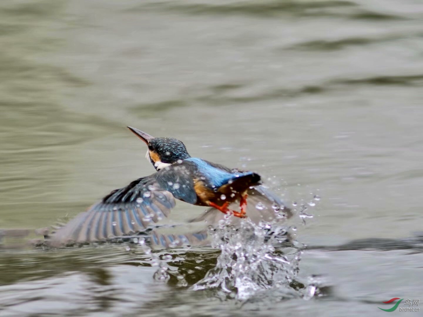 F0691704-D972-4A61-B155-0731E7E51146.jpeg
