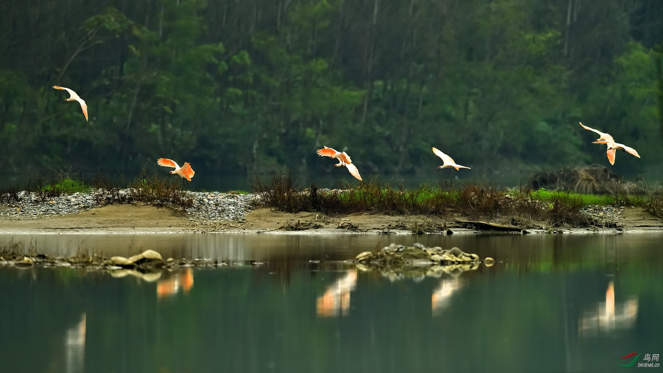 DSC_3567_������ �ϴ�.jpg