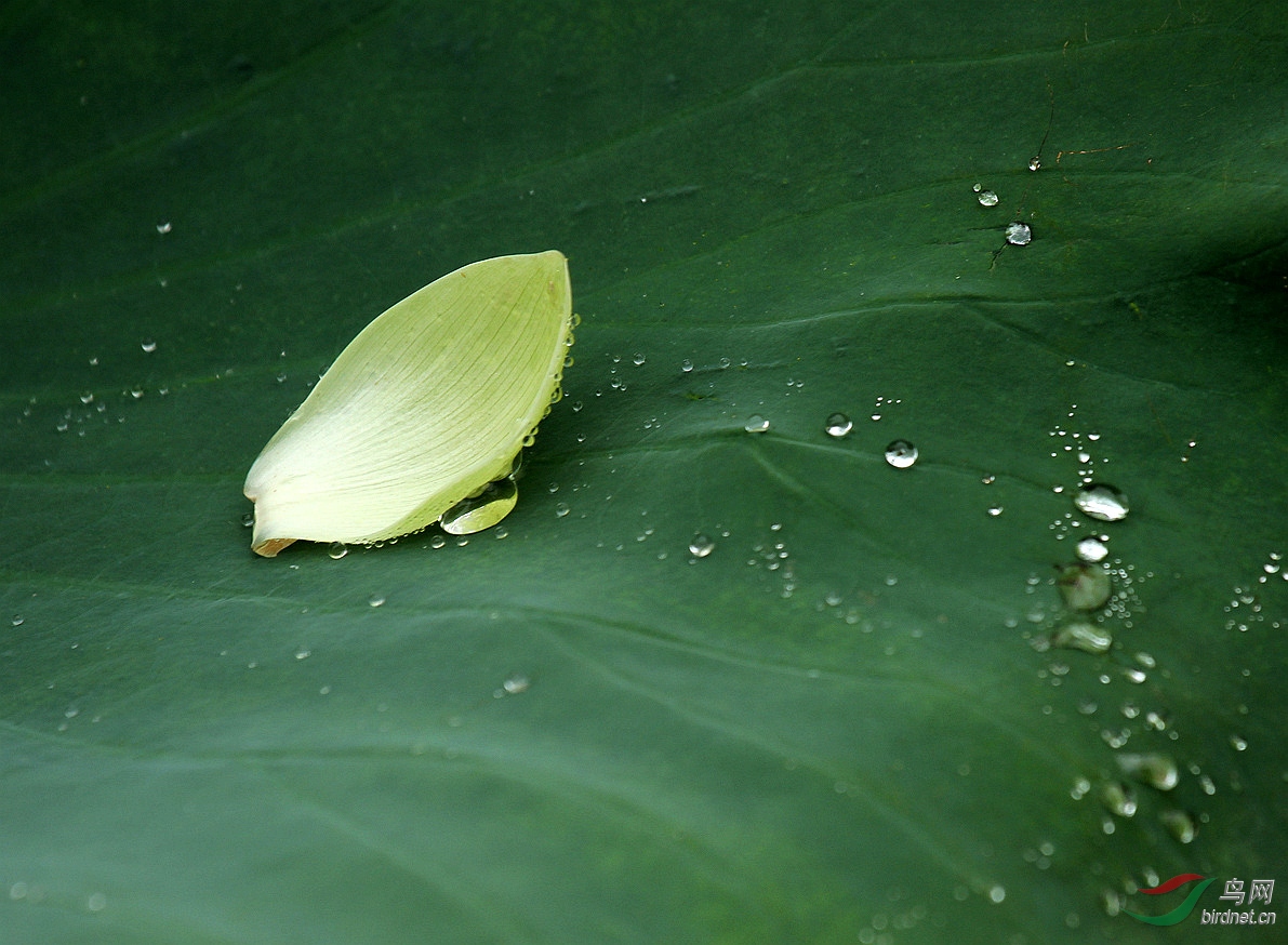 IMG_1903 ����.jpg