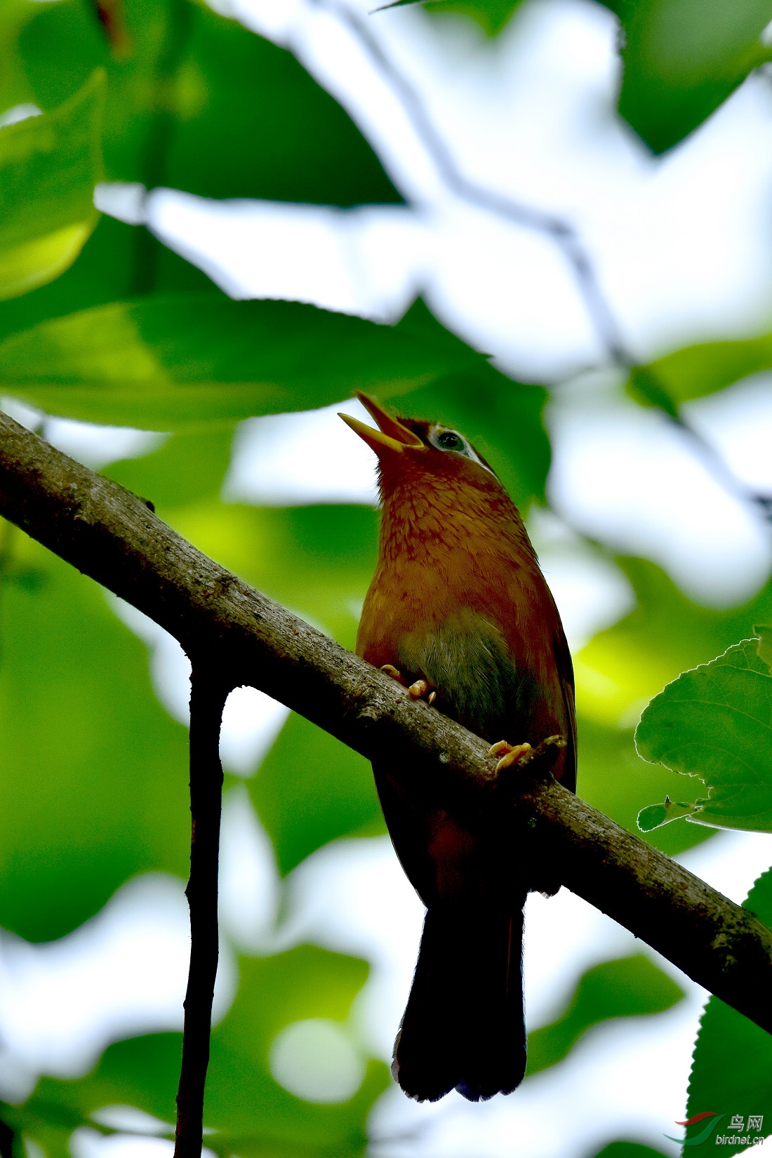 DSC_0757.JPG