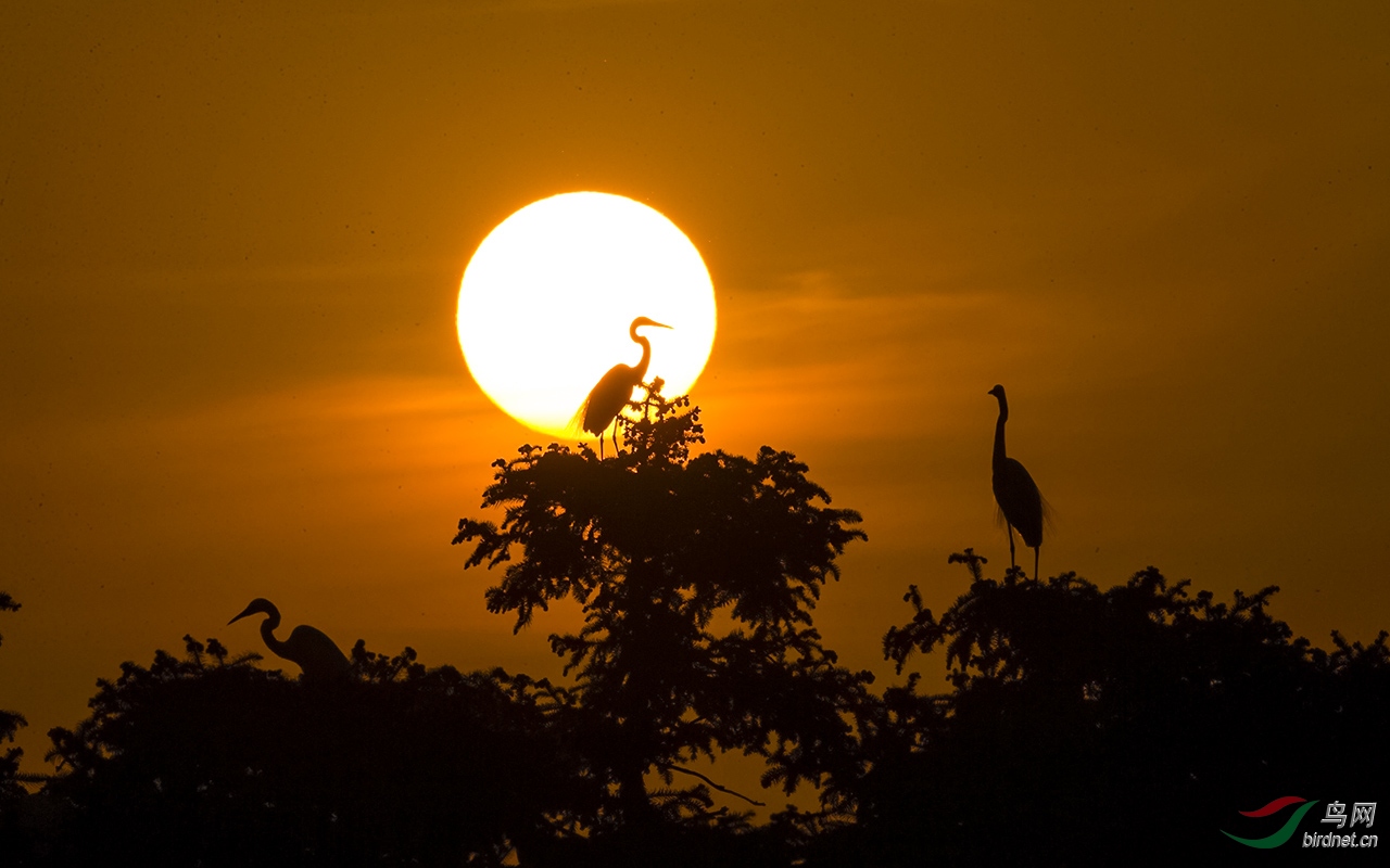 祝各位老师新年快乐,吉祥如意!