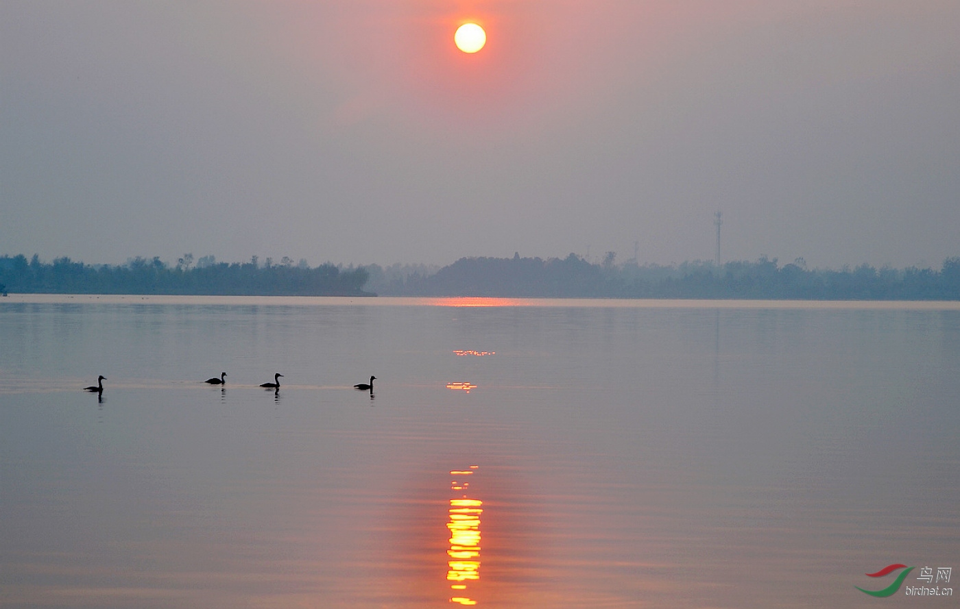 DSC_9423.JPG