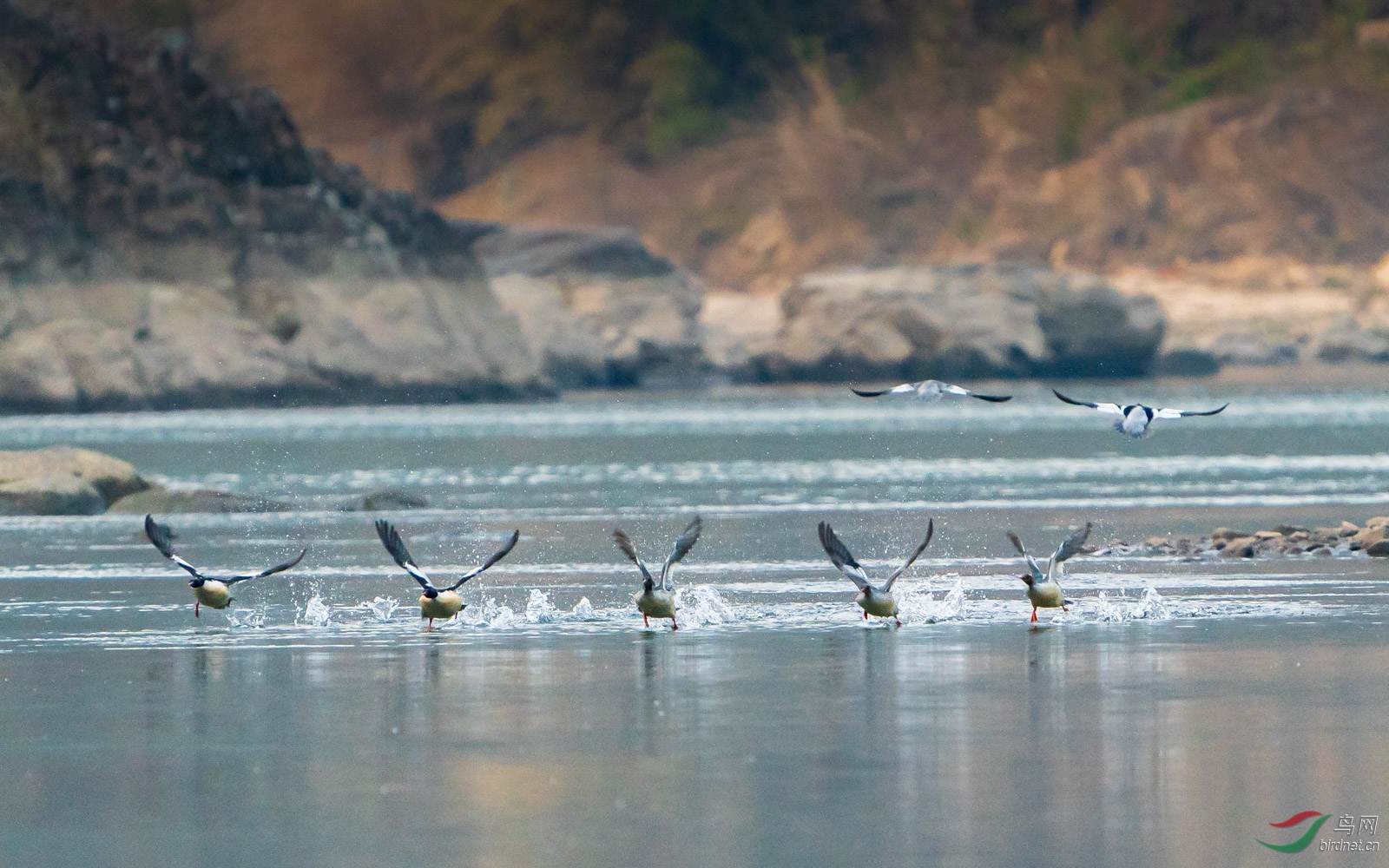 2020��һǹ û����