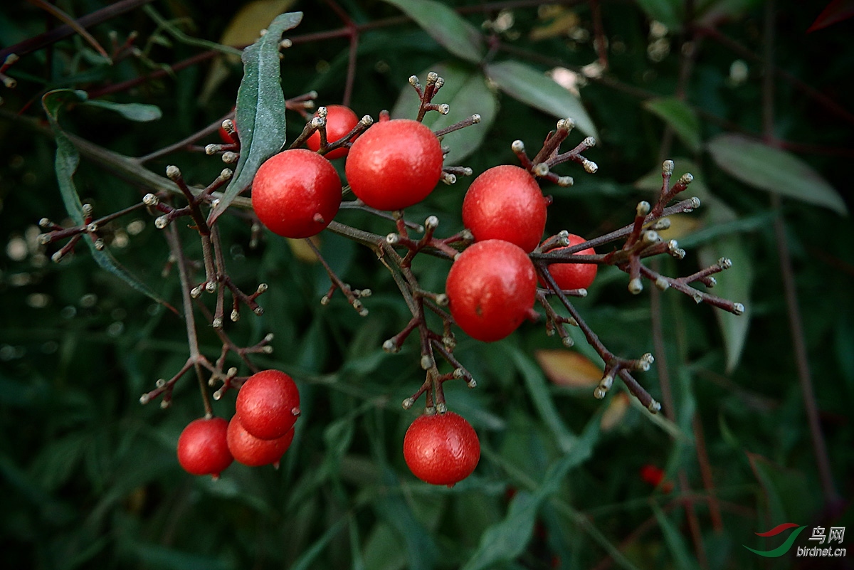 PC221165.jpg