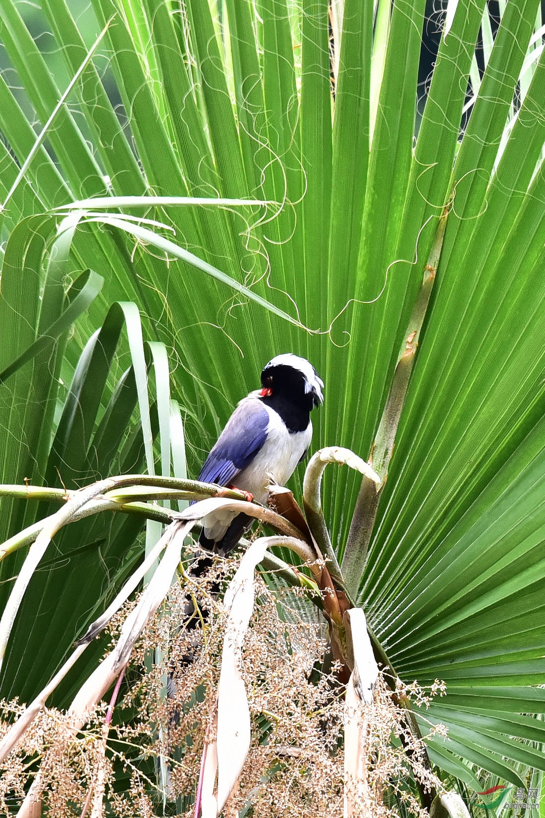 DSC_1192.JPG
