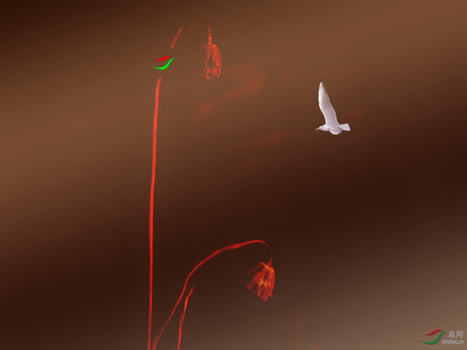 202001.����ů���к�������