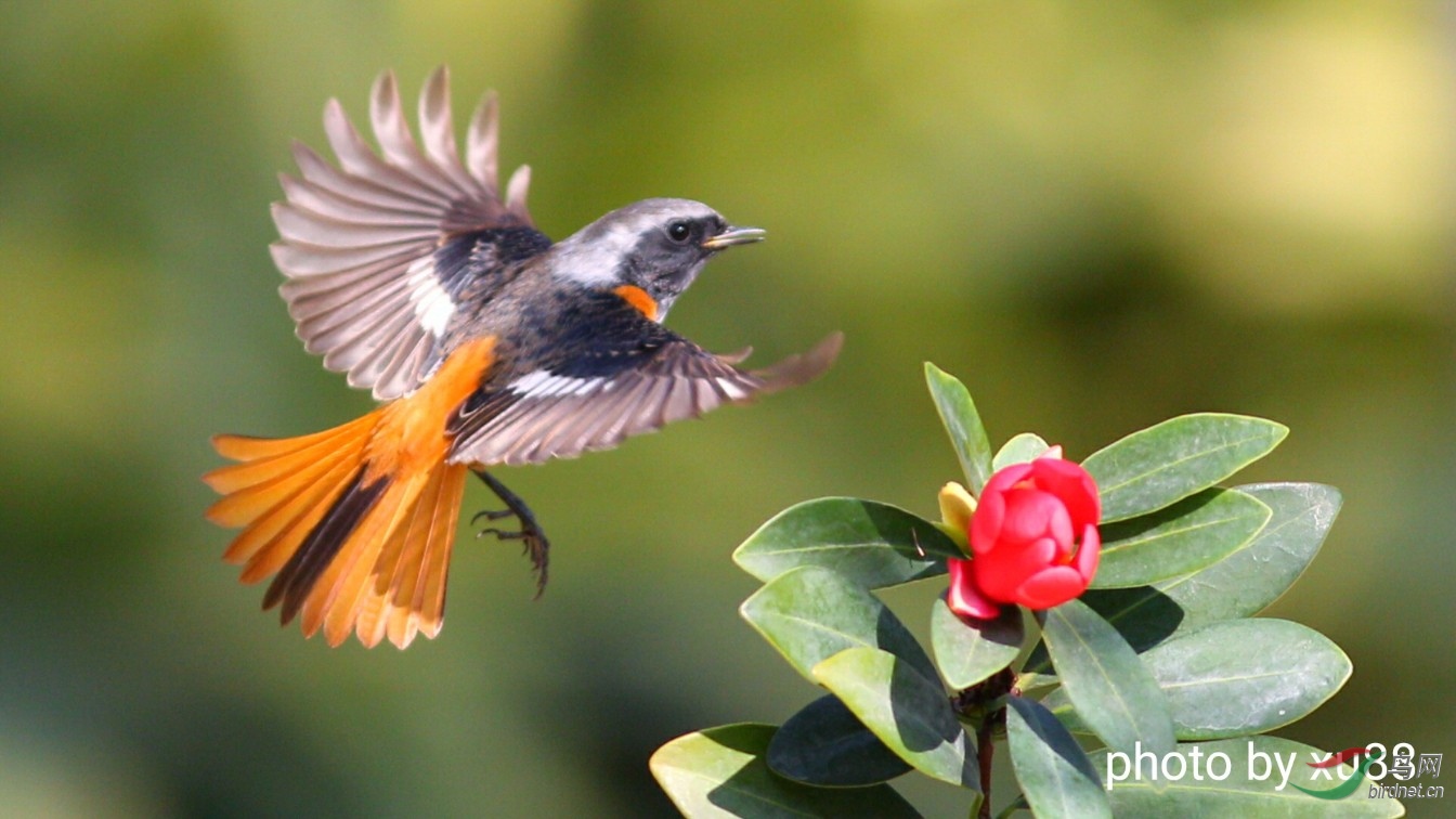 ����Լ10��