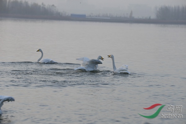 _E8J0012.jpg