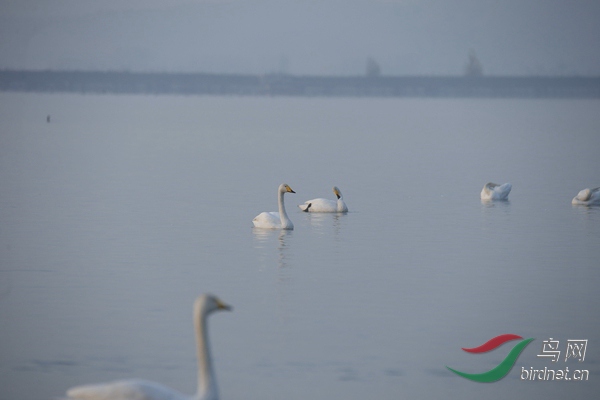 _E8J0113.jpg