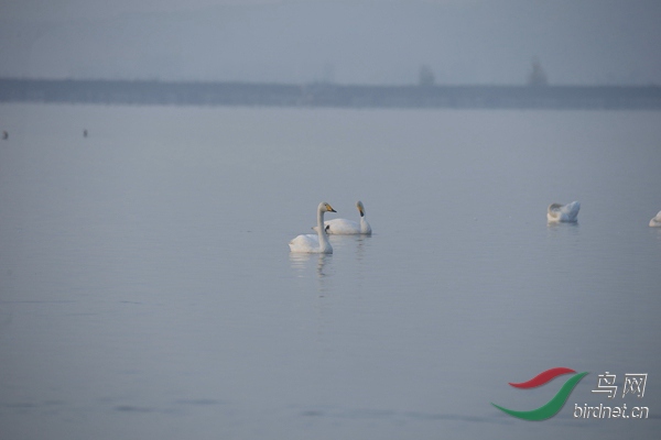 _E8J0112.jpg