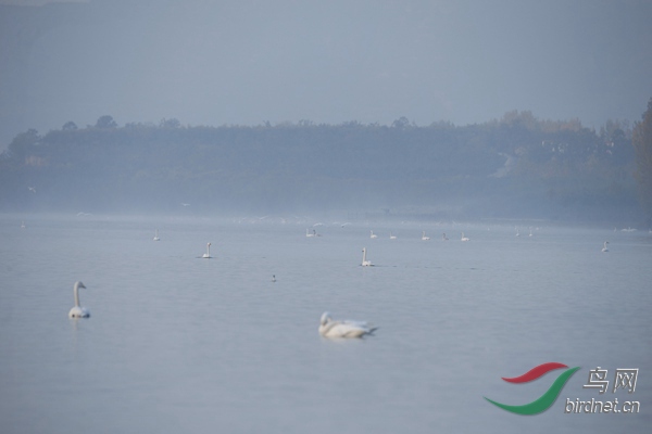 _E8J0110.jpg