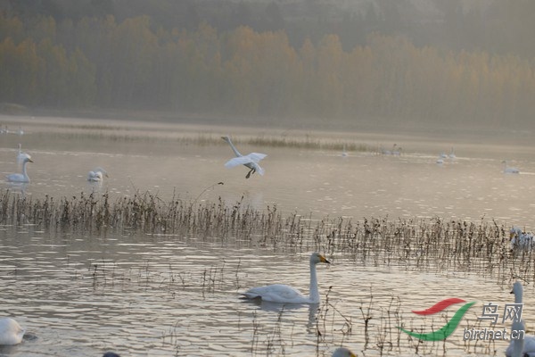 _E8J0120.jpg