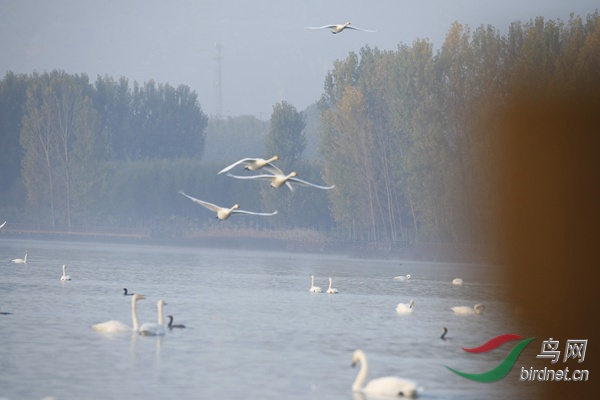 _E8J0176.jpg