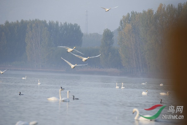 _E8J0173.jpg