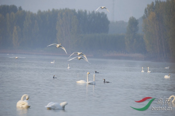 _E8J0171.jpg
