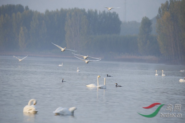 _E8J0170.jpg