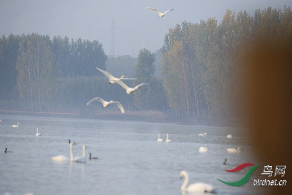 _E8J0175.jpg