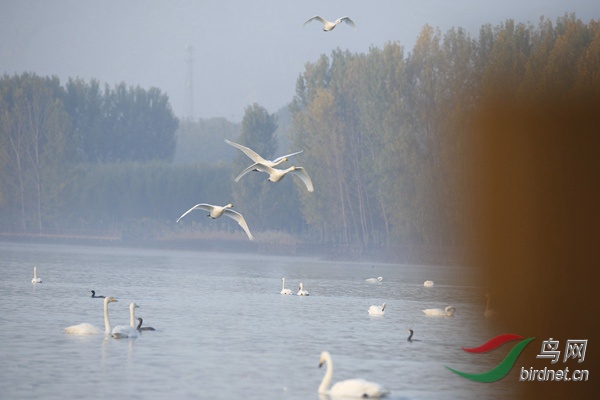 _E8J0177.jpg