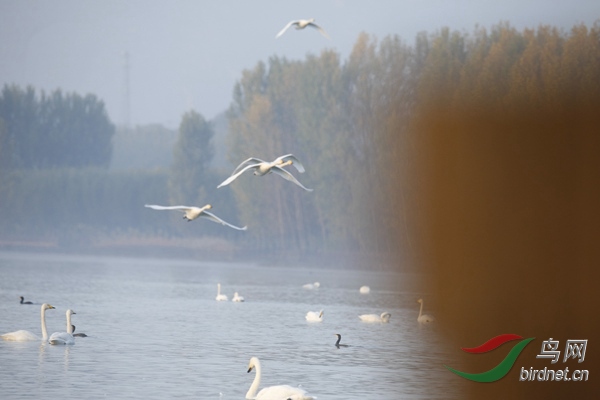 _E8J0179.jpg