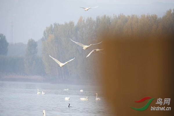 _E8J0183.jpg