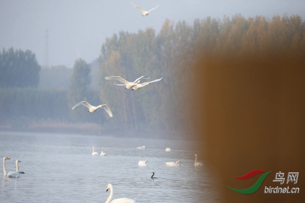 _E8J0180.jpg