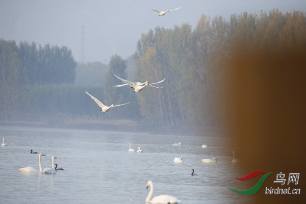_E8J0178.jpg