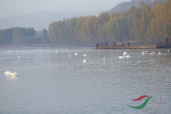 _E8J0195.jpg