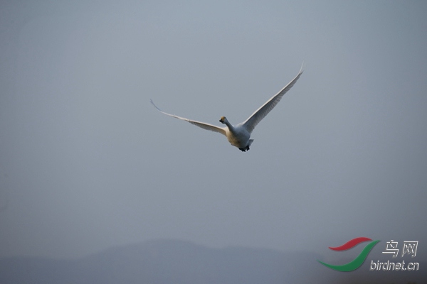 _E8J0188.jpg