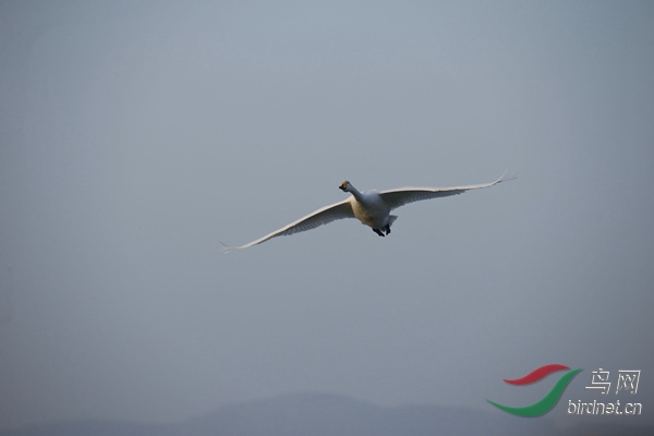 _E8J0189.jpg