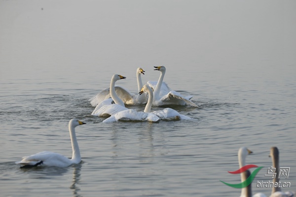 _E8J0220.jpg