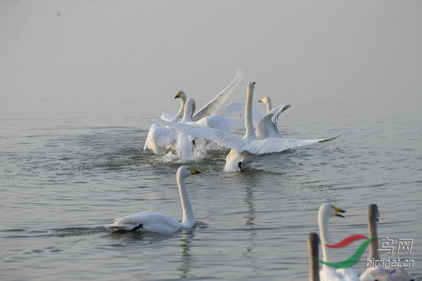 _E8J0223.jpg