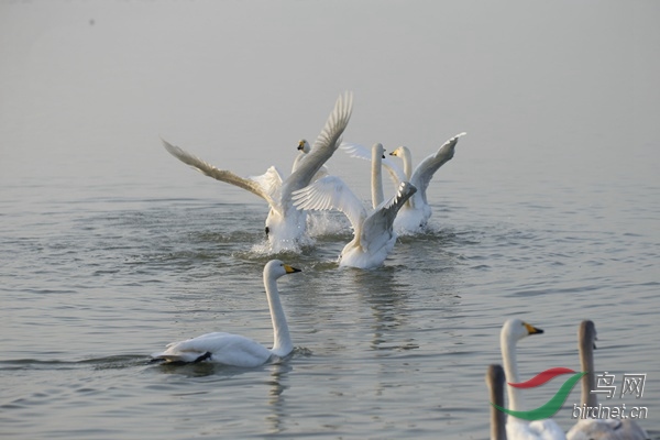 _E8J0222.jpg