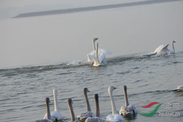 _E8J0234.jpg