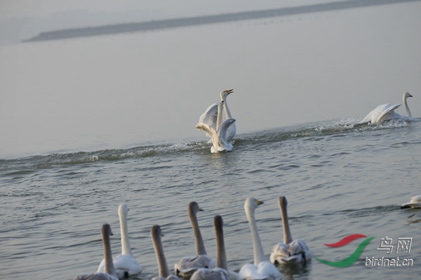 _E8J0235.jpg